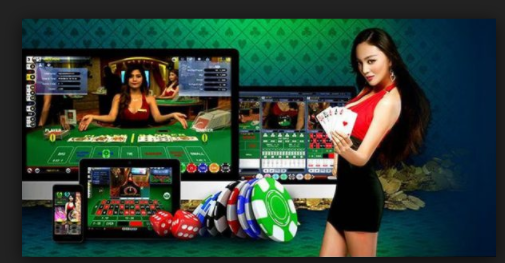 Agen Bandarq: Danielle Boyd